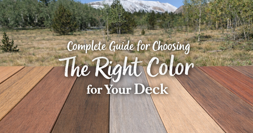 Illustration of a backyard deck in complementary colors