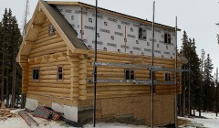 Partially-constructed log cabin and surrounding tall Aspen trees